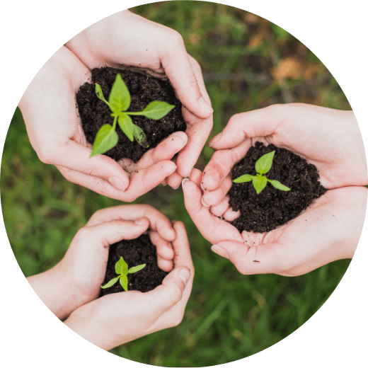 Dr Roy orthodontie ecologique